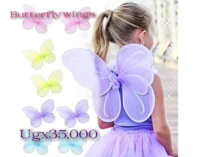 A picture of Butterfly Wings