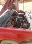 A picture of Passat