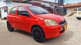 A picture of Vitz