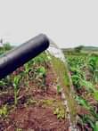 A picture of UNDERGROUND WATER FOR HOME AND GARDEN USE