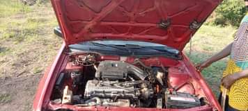 A picture of Nissan sunny
