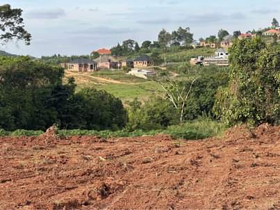 A picture of PRIME PLOTS IN NAMUSERA WAKISO