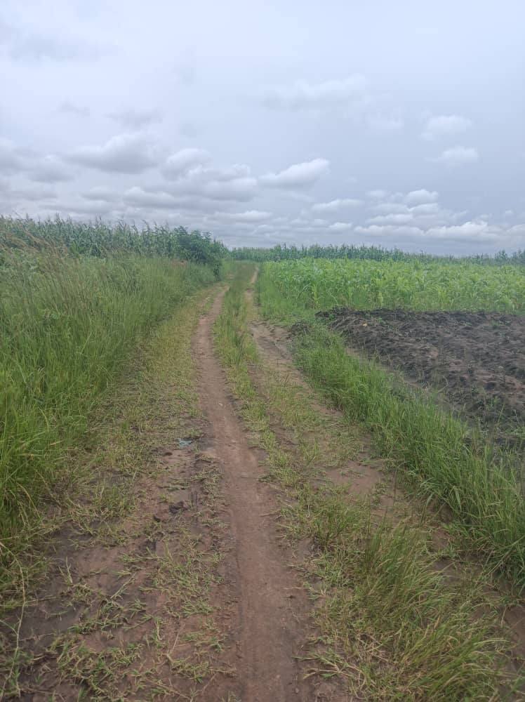 land