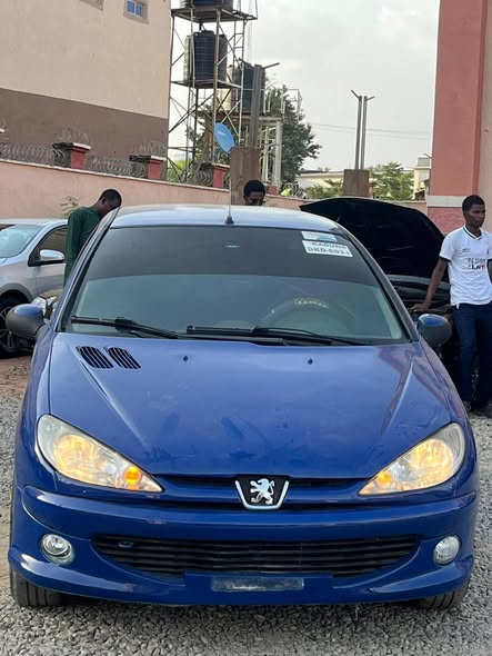 A picture of Peugeot 206