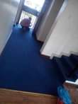 A picture of Wall to Wall Woolen Carpets