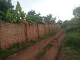 A picture of Quick sale 12m 3unsits single rooms located in gayaza nakwero
