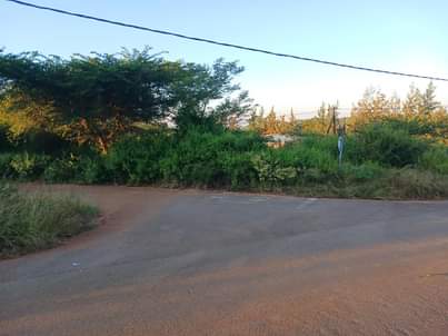 LIMPOPO V.