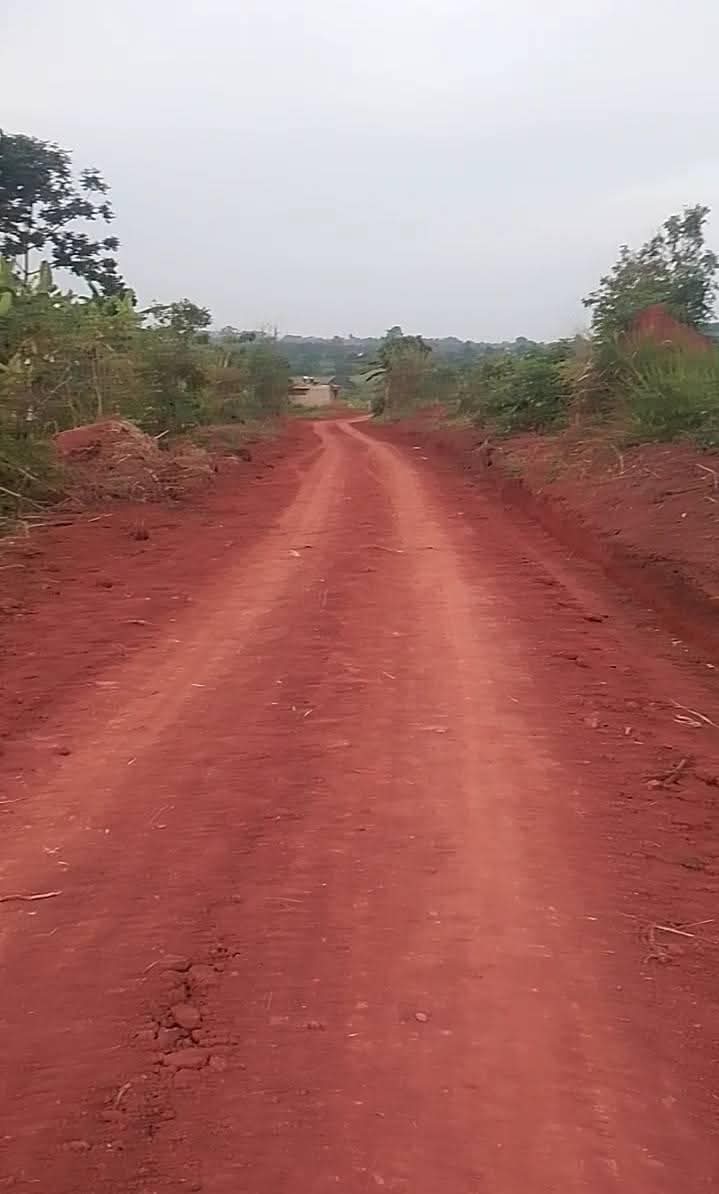 A picture of Plot 40ftx30ft