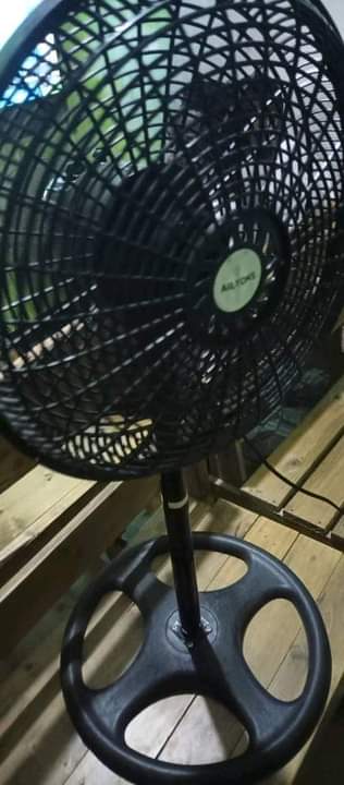 fans