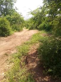 A picture of Shamba linauzwa mbwewe pwani 0783496873