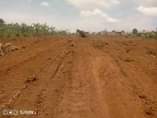 A picture of Bombo kalule town plot on quick sale