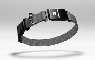 A picture of https shop.tryfi.com products smart collar v3 collarType standard color pink