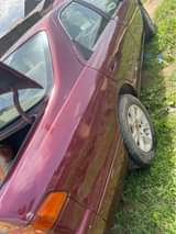A picture of Wine Camry Tiny Light For Sale