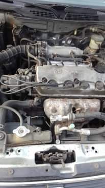 A picture of Clean Honda bull