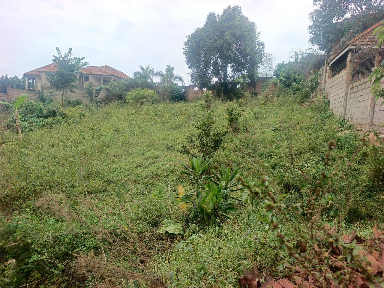 A picture of 28 decimals on quick sale in Kyanja Buwate amazing neighborhood