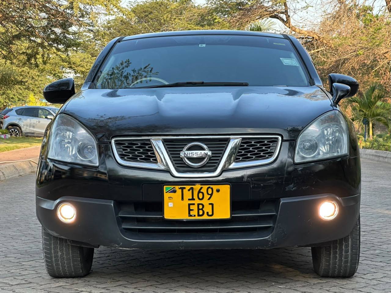 A picture of Nissan Dualis