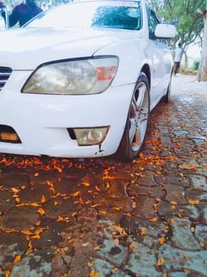 used toyota altezza