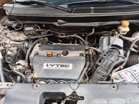 A picture of Clean Used Honda Element