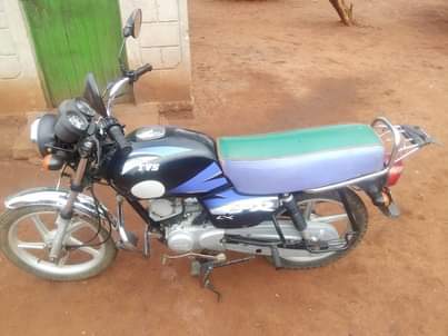 tvs hlx
