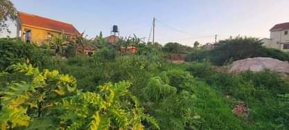 A picture of QUICK SALE. A prime plot of 25 Decimals 100100ft with