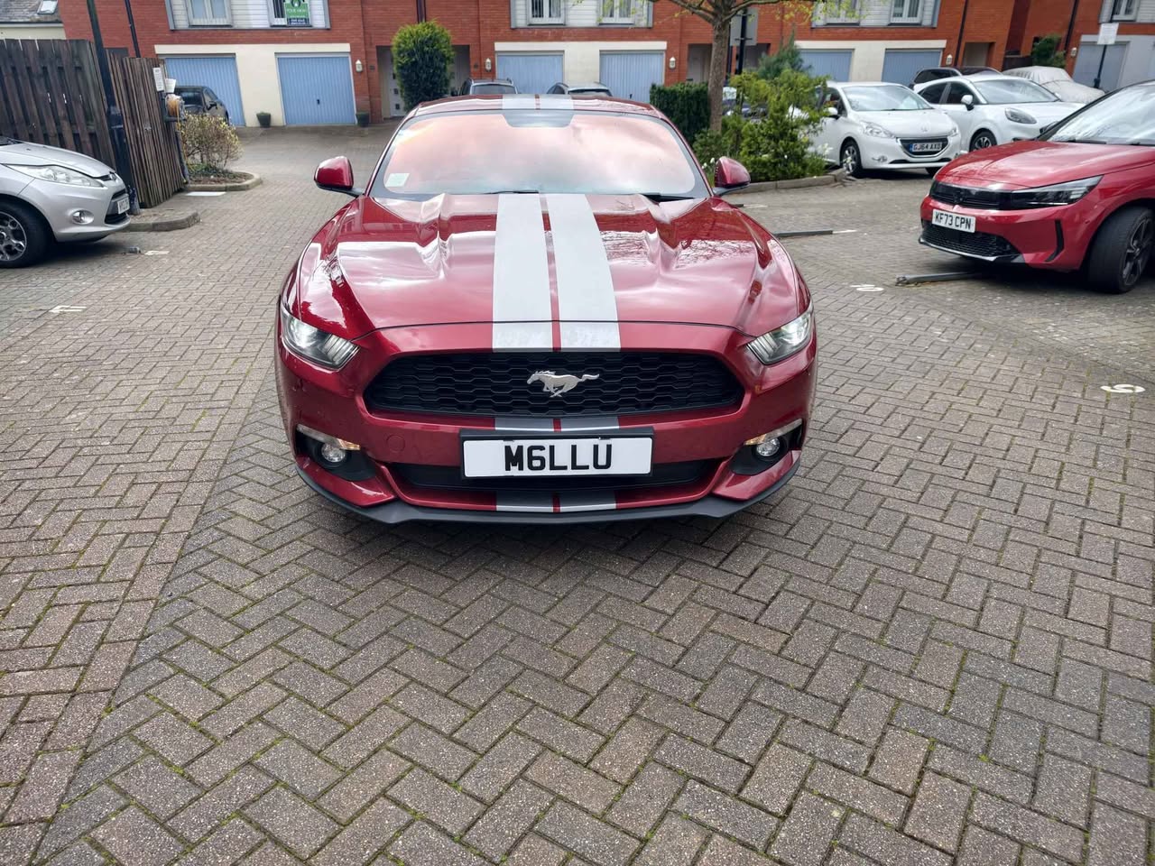 ford mustang
