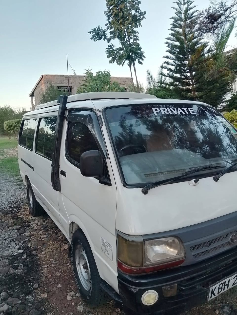 toyota shark