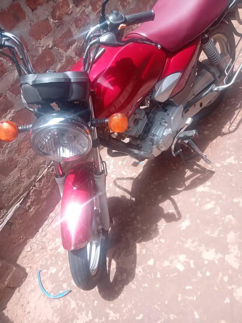 motorbikes