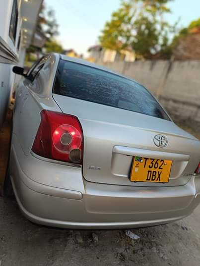 A picture of Gari ya aina avensis