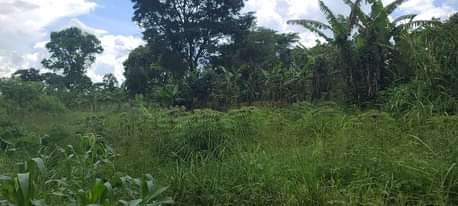 A picture of Semuto road Kanyanda Kawumu near President M7 Home 4.5acres of