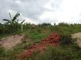 A picture of 50 100fts for sale at mpererwe katta along buwambo road