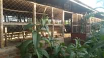 A picture of Farm for sale