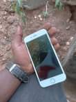 A picture of Iphone 7 plain 140k 0621451040