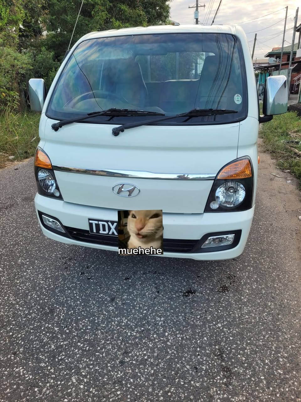 hyundai h100