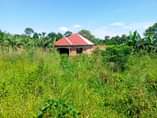 A picture of Plots on sale located at matugga gombe along matugga semuto