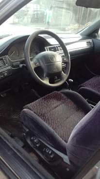 A picture of Clean Honda bull