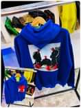 A picture of Hoddie