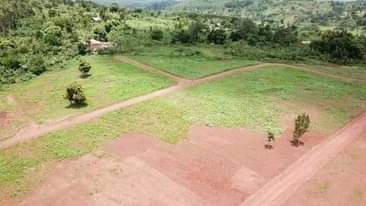 A picture of Nkowe wakiso Estate plots have ready land titles 50by100ft
