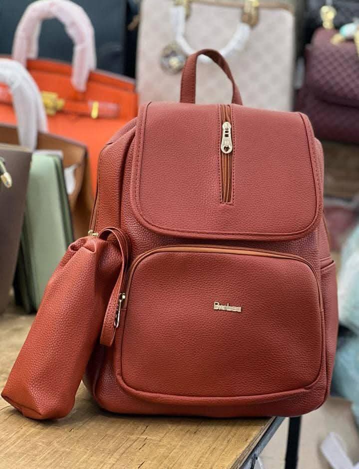 A picture of Elegant backpacks