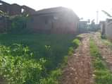 A picture of Kabuuma uphill plot on quick sale