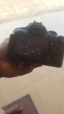 A picture of canon d700 rabelT