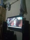 A picture of 40inchez global star free to air slight line in it
