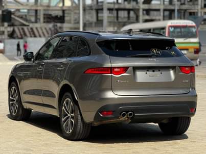 A picture of Jaguars