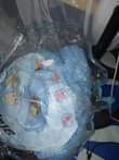 A picture of Net
