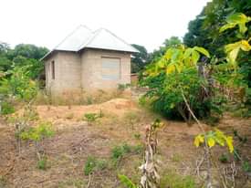 A picture of Nyumba inauzwa Kibaha kwa Mfipa