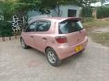 A picture of Vitz
