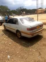 A picture of Premio old