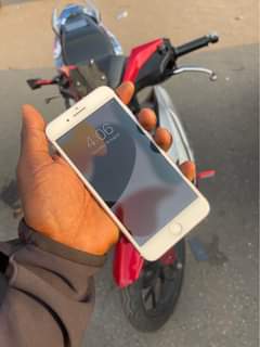 Salifu F.