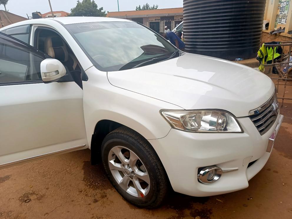 A picture of Toyota vanguard 2010 11
