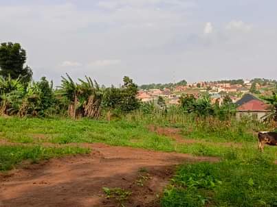 A picture of 25mMatugga kilyagonjja wakiso rd estate 10plots on sale Each plot