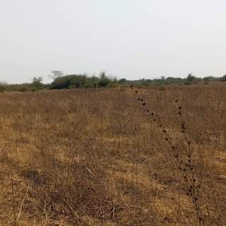 mwembeshi